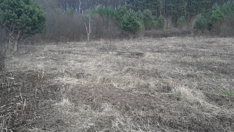 V Dulovej Vsi, časť Vlčie doly KÚPA POZEMKU