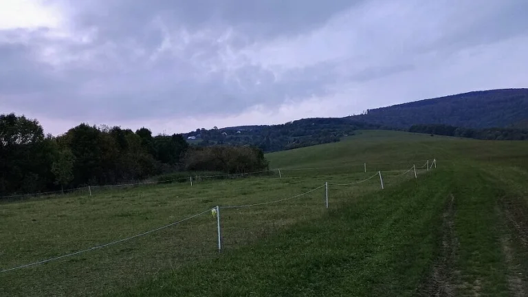 Rekreačný pozemok