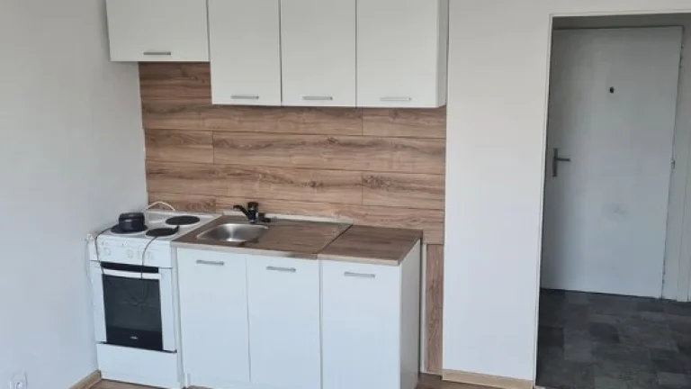 Prenajmem garzonku V lv