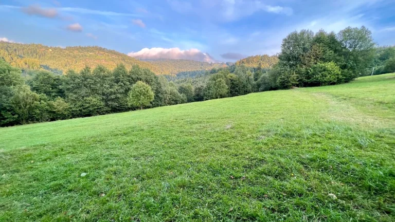 Predaj rekreačného pozemku(7072/2)- Oščadnica Dedovka 660m2