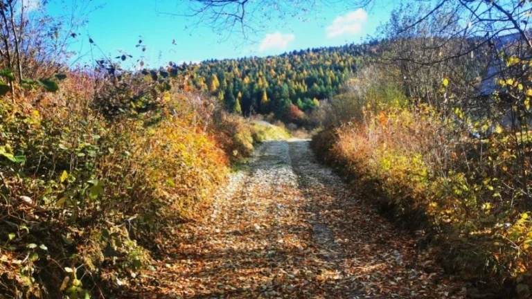 Pozemok 725m2 v Konskom