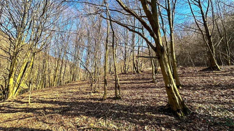 Pozemok na samote - Horné Hámre (Hrabičov)