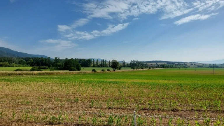 Pozemok 1500m2 v Abramovej