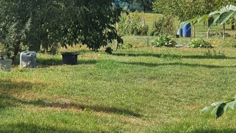 Pozemok v Kameníne