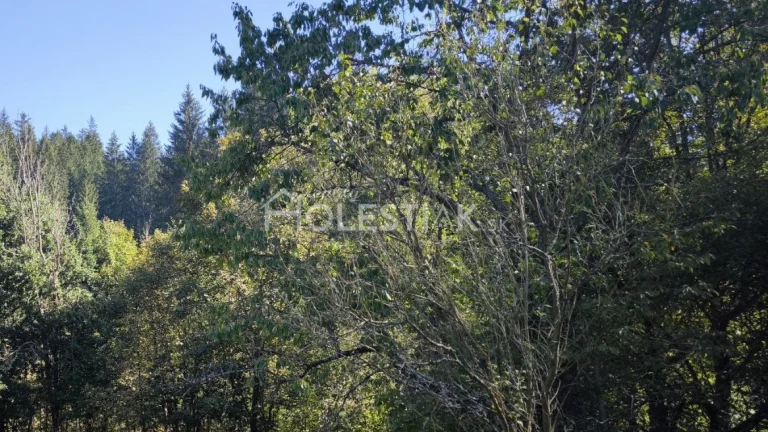Predám pozemok pri ceste Dlhá nad Kysucou