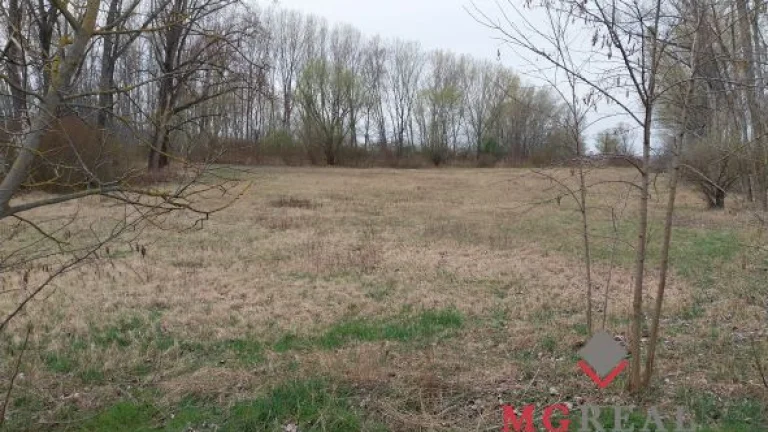 Rovinatý pozemok 17.000 m2 V. Kosihy (Komárno)