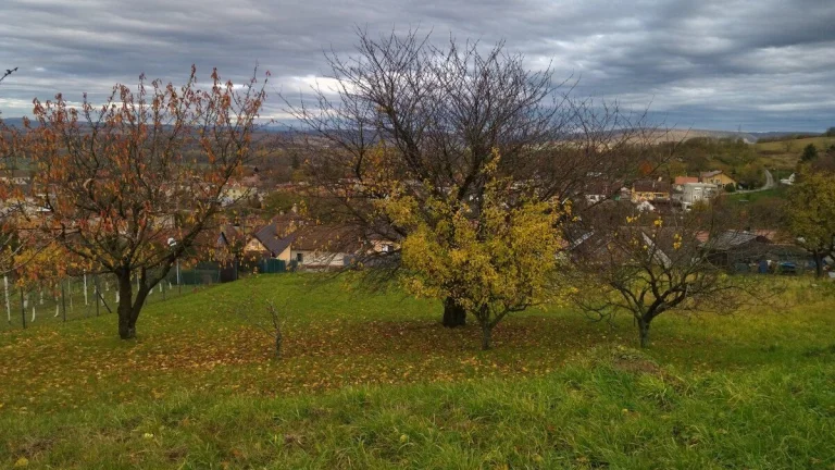 Na predaj krásny rozľahlý pozemok pod lesom, Cerová.