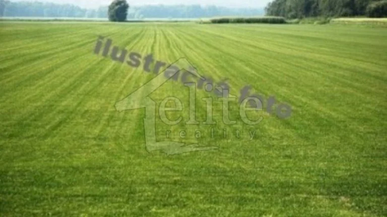 Predaj, Pozemok/Trvalé trávnaté porasty (RE01021390)