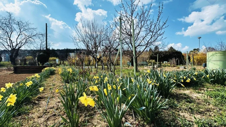 Predaj pozemok (záhrada) 358m2 Nitra – Chrenová