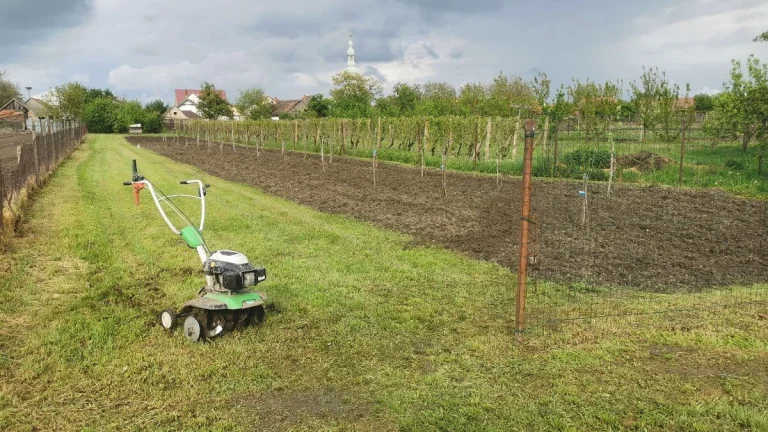 Záhrada - stavebný pozemok v Malom Horeši