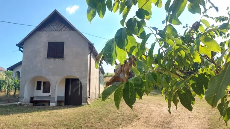 Poschodová chatka s vinohradom v malebnej dedinke Modrany