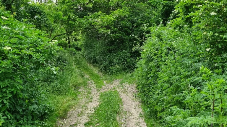 Pozemok na výstavbu rodinných domov, Svinica, Košice - Okoli