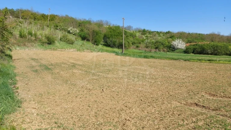 Rozľahlý pozemok na samote neďaleko prírodnej rezervácie v