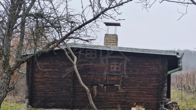 Pekná, udržiavaná vinica s chatkou za Kozárovcami