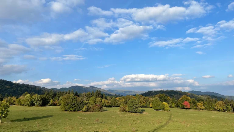 Na predaj pôda, lesy - Hrlica, okr. Revúca, 30.513 m2