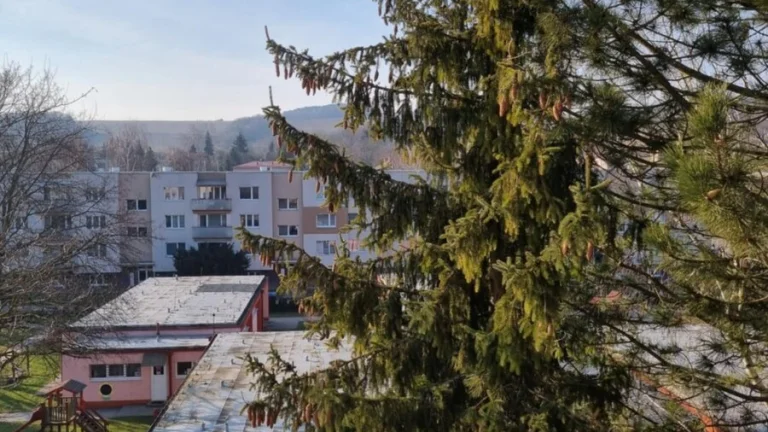 Na predaj moderný 3 izbový byt Brezová pod Bradlom