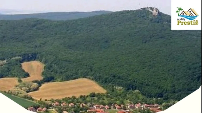 Predám veľký dom v Kostoľanoch pod Tríbečom