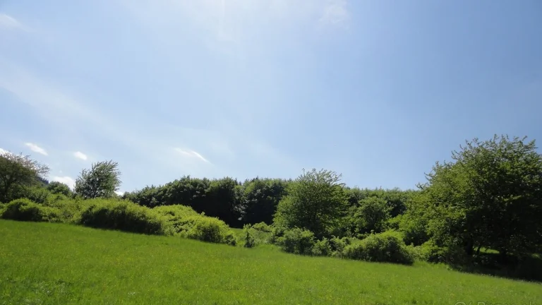 Na predaj pozemok č.1- 1905 m2, Kľak, okres Žarnovica