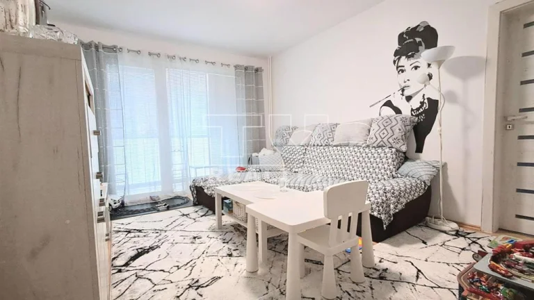 2- IZBOVÝ BYT PIEŠŤANY 46m2