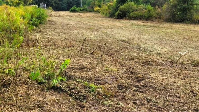 Na predaj stavebný pozemok v obci Podhájska nad kúpaliskom