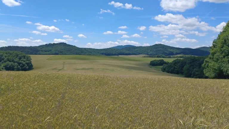 Na predaj orná pôda v obci Podkylava, časť Jancovo.