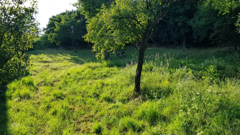 Predám stavebný pozemok pod lesom Nitra - Zobor.