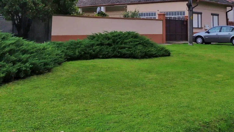 4 izbový, sedliacky rodinný dom, veľký pozemok v Tomášikove