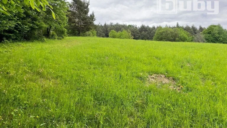 Pozemok na výstavbu chát / rekreačných objektov, predaj, Hor