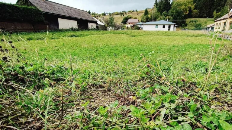 Na predaj stavebný pozemok Oravská Jasenica, okres Námestovo