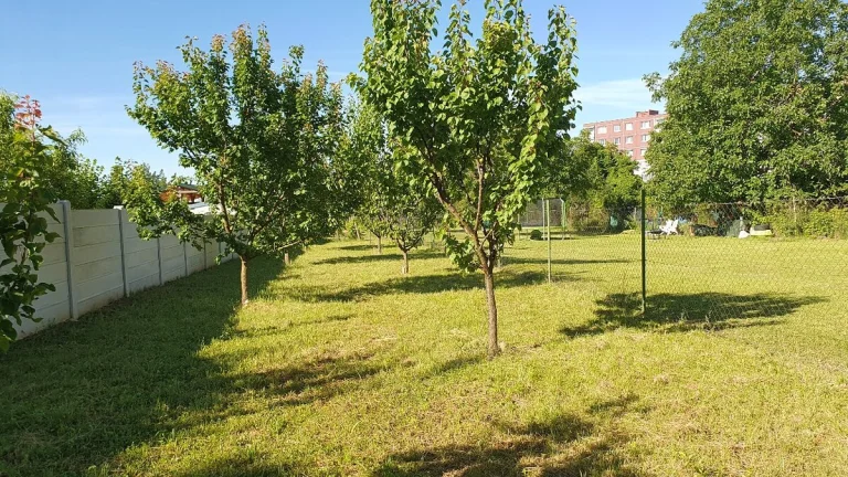 Pozemky v lokalite Horný Urban - Levice