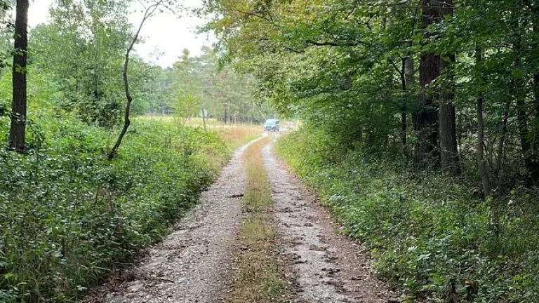 Pozemok