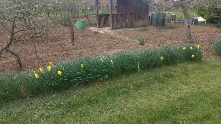 Výhodný predaj záhrady v záhradkárskej oblasti Nitra Krškano