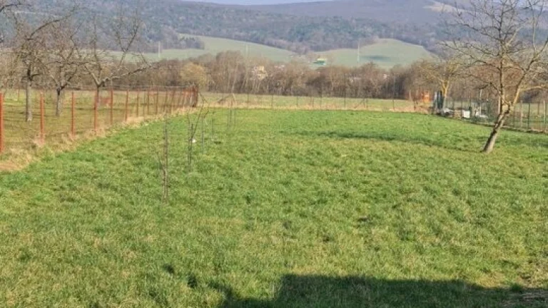 Rodinný dom v okr. Svidník - Mestisko