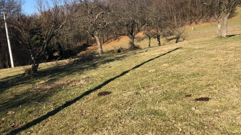 Pozemok s projektom chaty - Nová Baňa, Bukovina
