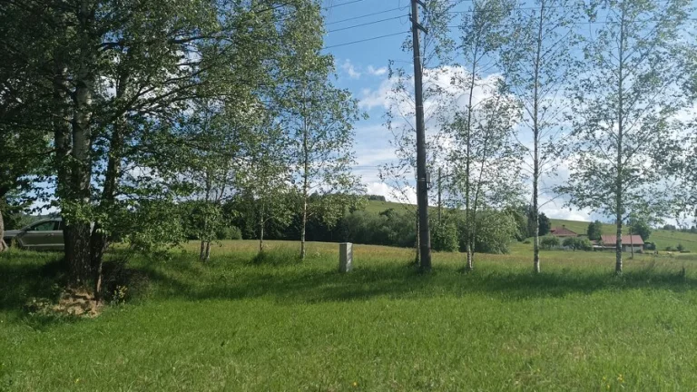 Predaj rod.domu