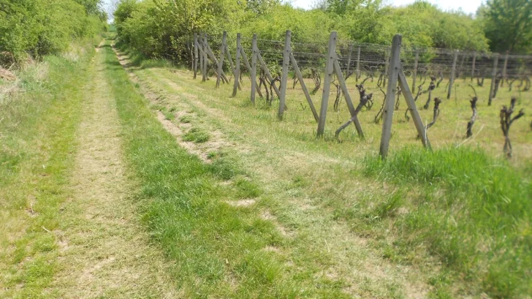 REZERVOVANÉ pozemok na stavbu VD,okr.Nitra, Vráble 6 km,