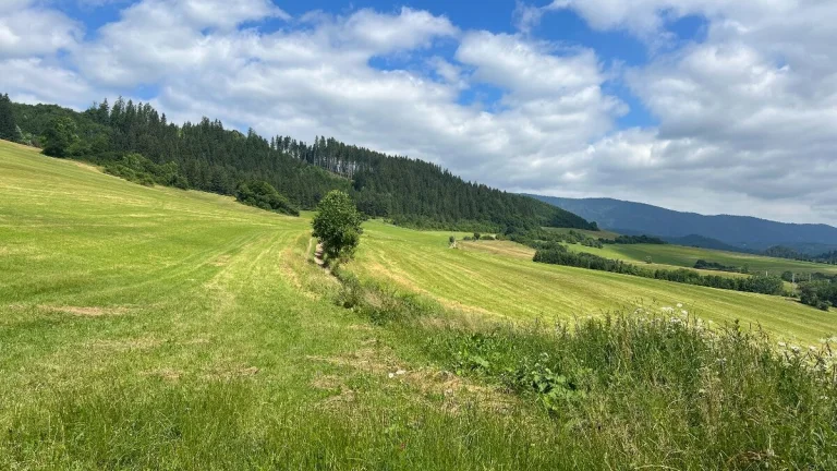Pozemok neďaleko centra Dolný Kubín - 8649m2