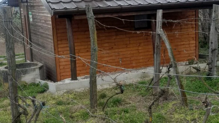 Predám pozemok s viničným domčekom