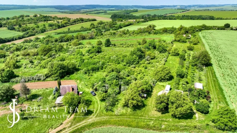Slnečný, rovinatý, rekreačný pozemok / vinica 1522 m2,Terany