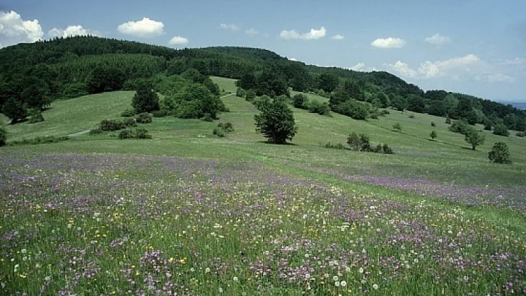 Pozemok na poľnohospodárske účely