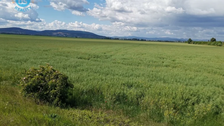 Na predaj orná pôda 3.463 m2 a trvalý tr. porast 2282,5 m2 V