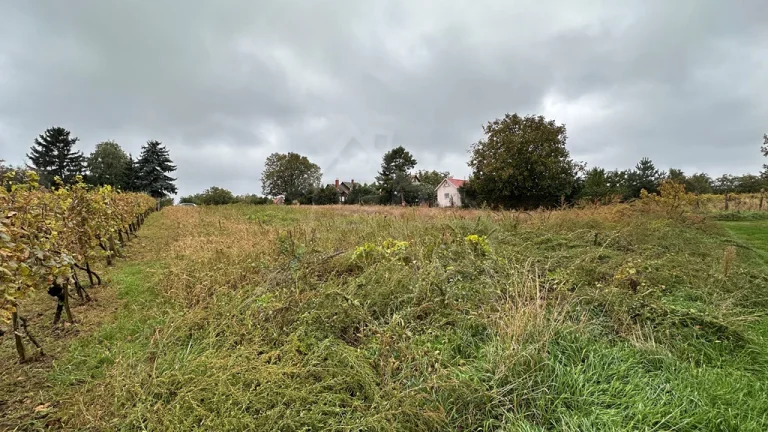 Priestranný pozemok o výmere 1666 m2 vo vinohradníckej obl