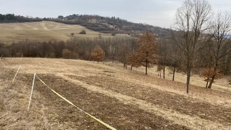 Predaj pozemkov dražbou v Krupine