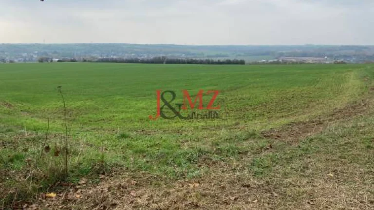 Vinica s pozemkom na výstvabu chaty - Žemberovce