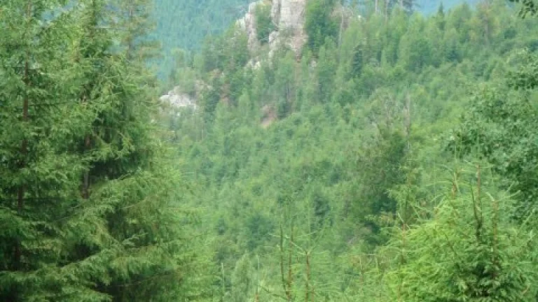 Rekreačná chata na čistinke v Osrblí-Štomp