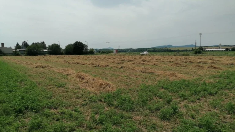 Bez maklérov predám obrovský pozemok v lokalite Žitavany ID