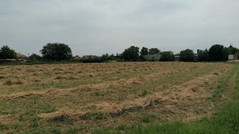 Bez maklérov predám obrovský pozemok v lokalite Žitavany ID