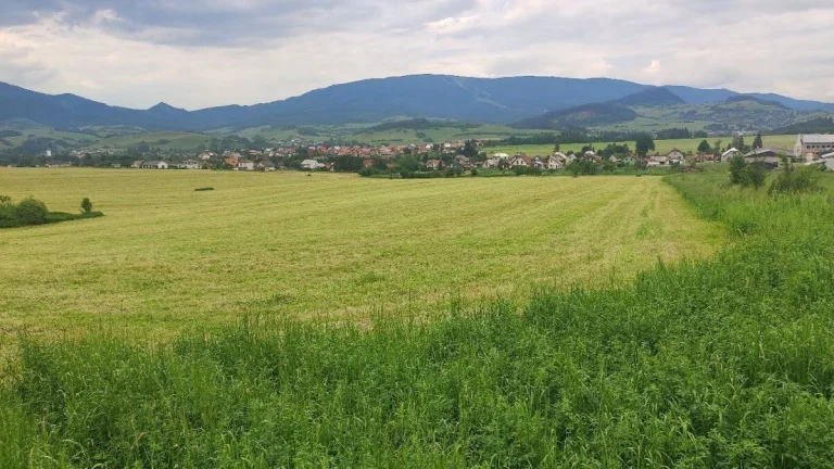 Bez maklérov predám slnečný pozemok v lokalite Oravská Porub