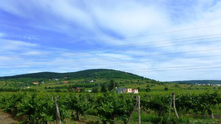 Luxusný 5i RD, 260m,2x PARKING, unikátny výhľad, Pezinská ul