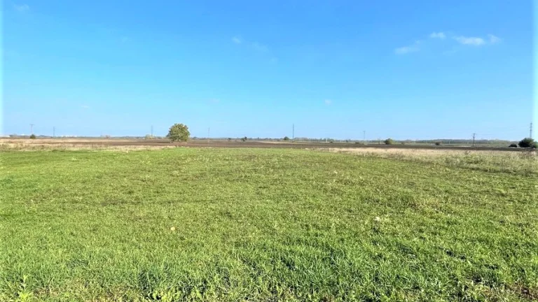 NA PREDAJ veľký stavebný pozemok v meste Nesvady